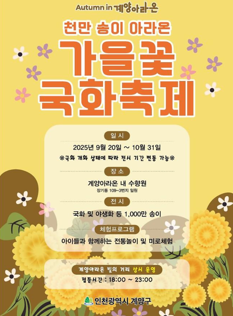 인천 계양 아라온 국화축제 2025 총정리 일정·위치·주차·야경 꿀팁