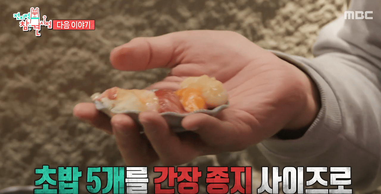 전참시 최홍만 제주 초밥집 ‘갓포효’ 위치·메뉴 완벽 정리