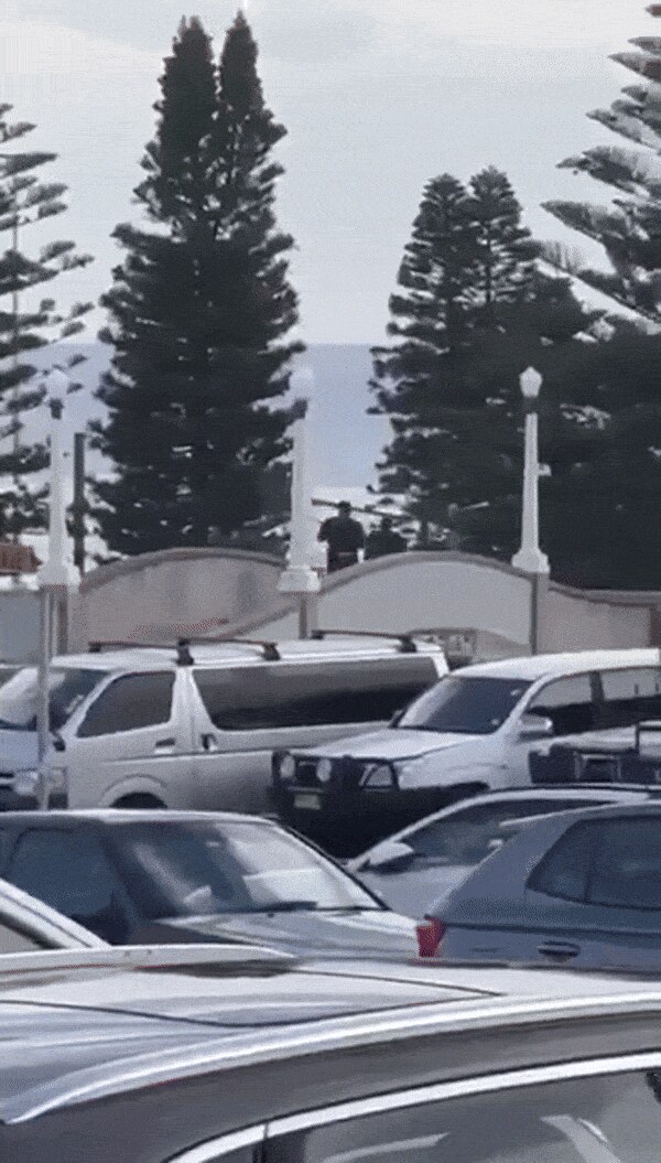 시드니 본다이 비치 총기난사, 호주를 뒤흔든 참사와 교훈