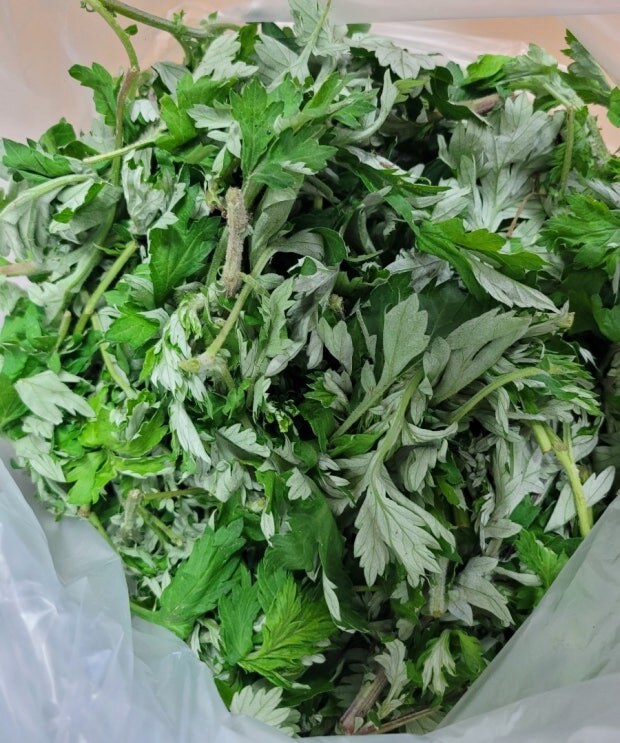 문정희가 추천한 거문도 쑥가루 효능과 레시피 총정리