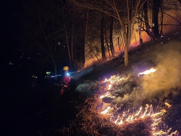 서울 수락산 산불 완진 새벽의 불길, 6시간의 사투 전말