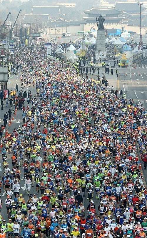 동아마라톤 참가 신청방법 총정리 동마클럽 접수 일정 한눈에