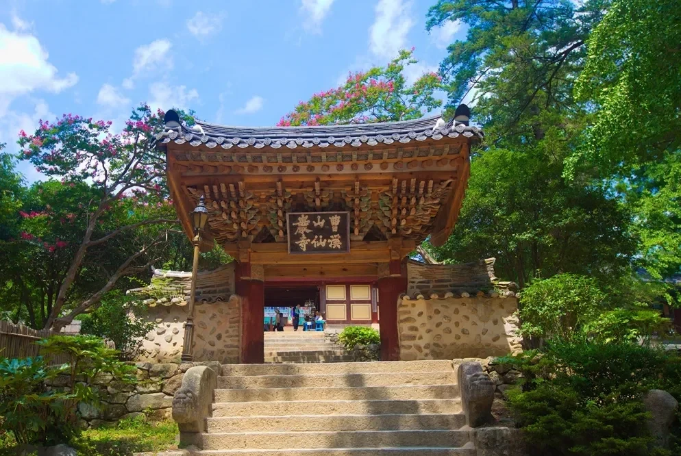 벚꽃 전 3월 봄꽃 여행지 BEST 8 매화·산수유·목련 명소 총정리