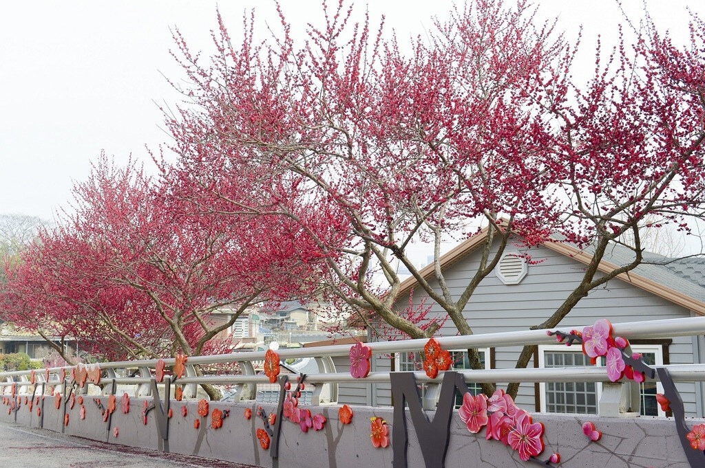 벚꽃 전 3월 봄꽃 여행지 BEST 8 매화·산수유·목련 명소 총정리