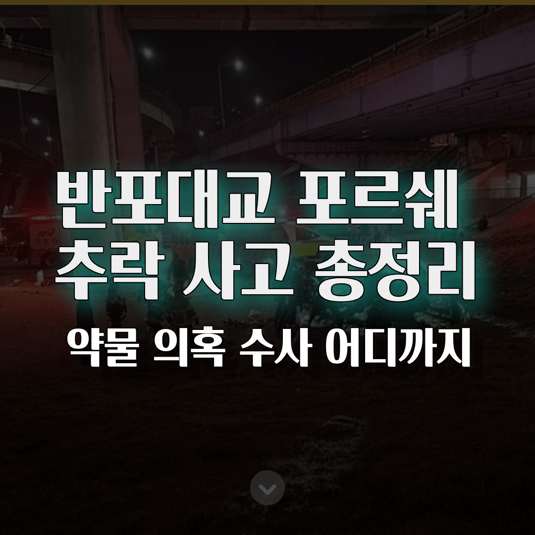 반포대교 포르쉐 추락 사고 총정리…약물 의혹 수사 어디까지 반포대교 포르쉐 추락 사고 총정리…약물 의혹 수사 어디까지