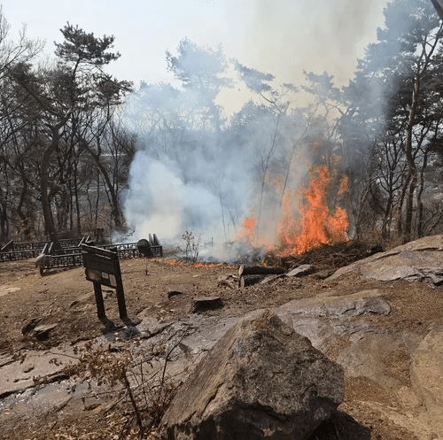 수원 팔달산 화재 발생 상황 인명피해 용의자 체포까지 한눈에 보기