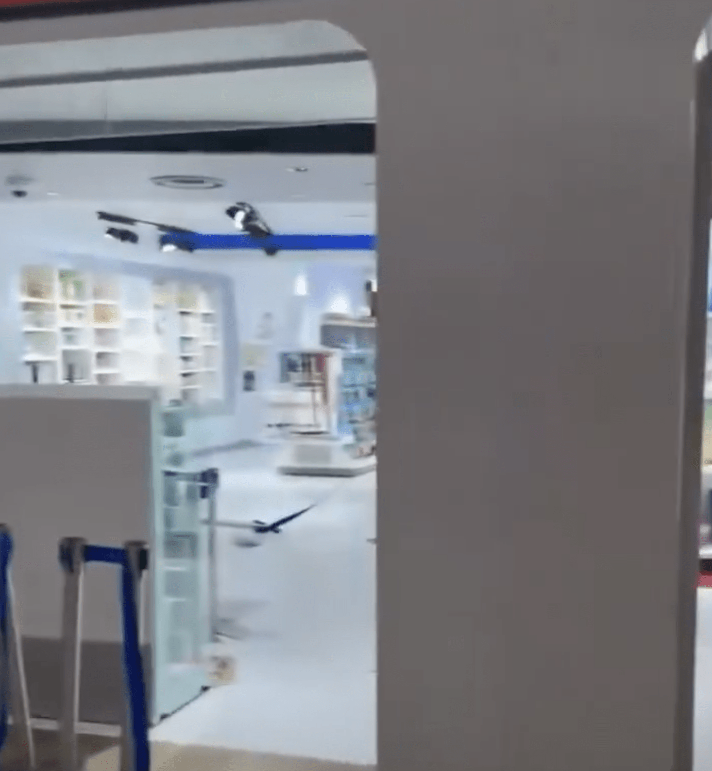 도쿄 포켓몬센터 사건 정리|이케부쿠로 메가도쿄 매장에서 벌어진 비극 3 도쿄 포켓몬센터 사건 정리|이케부쿠로 메가도쿄 매장에서 벌어진 비극