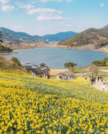 2026 전남 반값 여행 완벽 정리 9가지 여행비 50% 환급 신청방법 (강진·영광·해남·고흥·완도·영암)