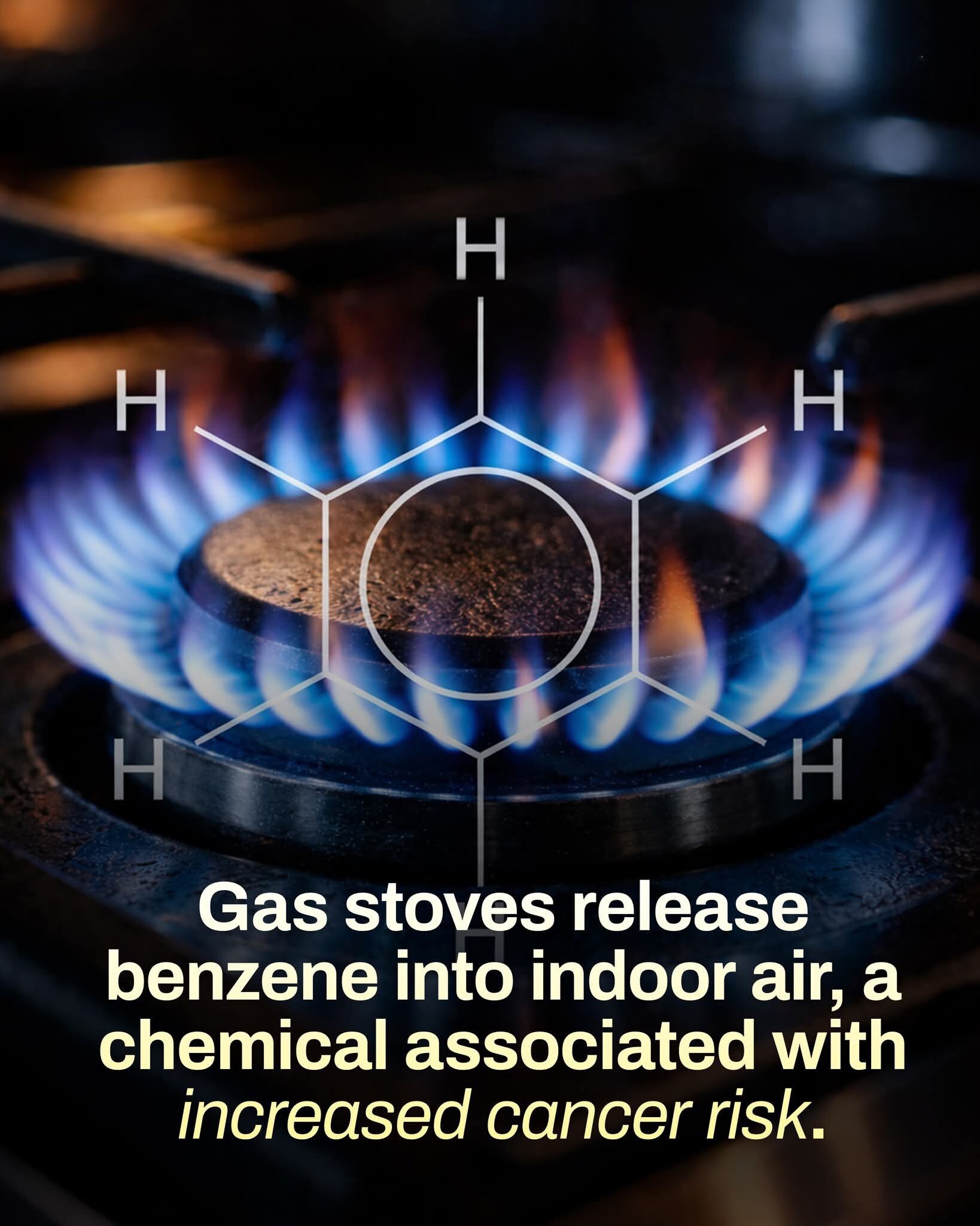 백혈병 초기증상 총정리 – 피로·멍·발열… 놓치기 쉬운 혈액암 신호