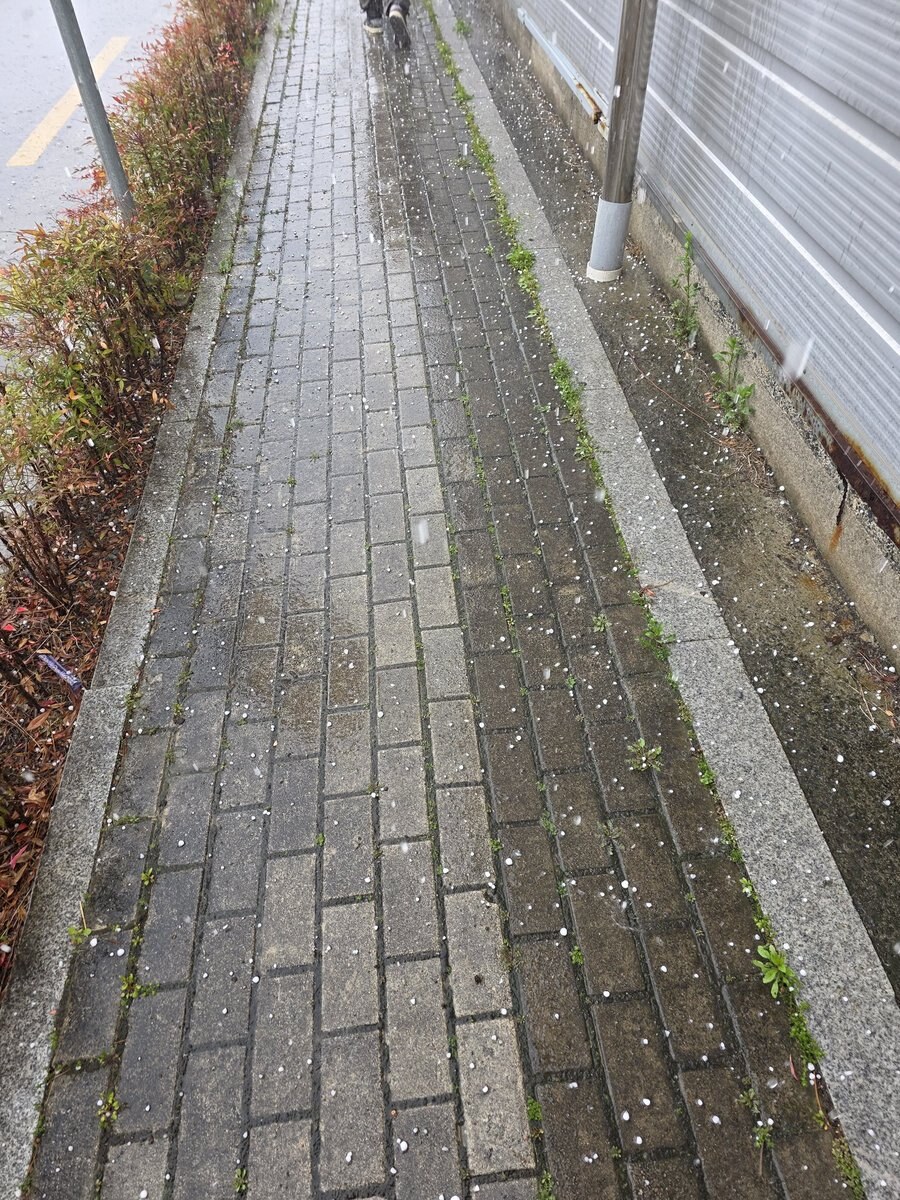 대구 우박 총정리 | 발생 이유·실시간 피해·차량 파손 보험 대응 방법까지 3 대구 우박 총정리 | 발생 이유·실시간 피해·차량 파손 보험 대응 방법까지