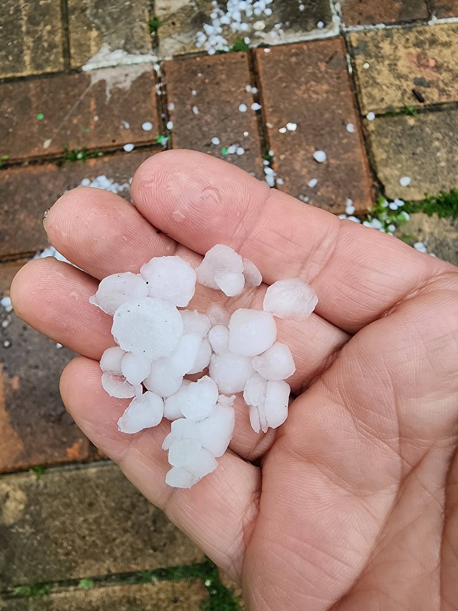 대구 우박 총정리 | 발생 이유·실시간 피해·차량 파손 보험 대응 방법까지 2 대구 우박 총정리 | 발생 이유·실시간 피해·차량 파손 보험 대응 방법까지