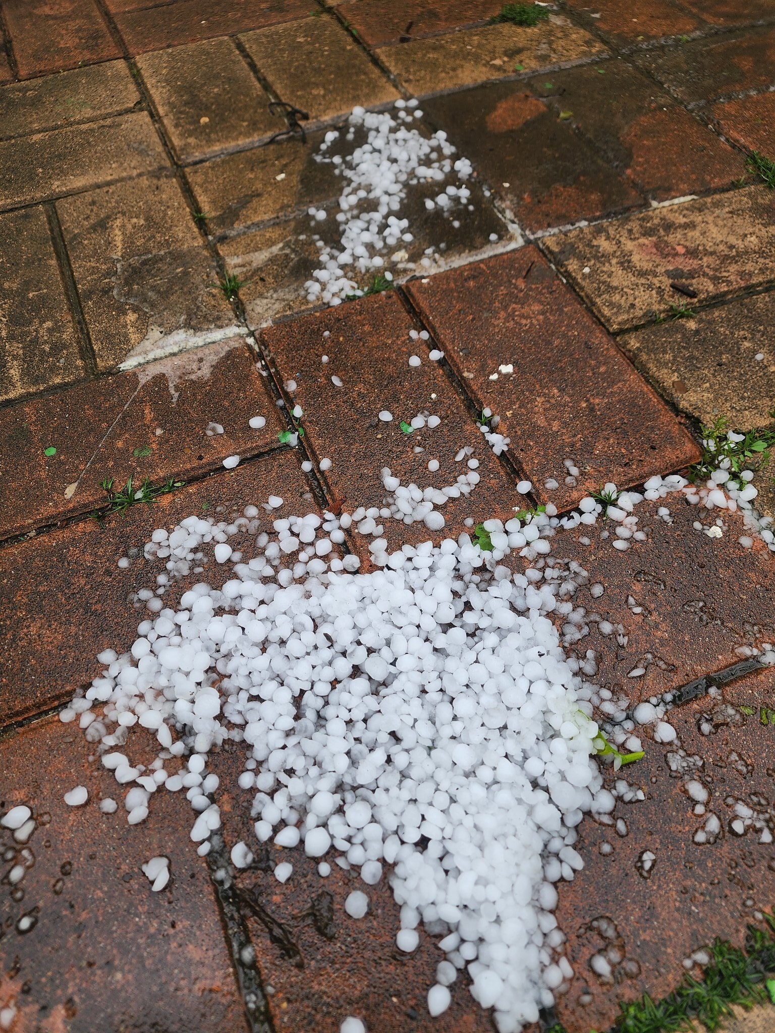 대구 우박 총정리 | 발생 이유·실시간 피해·차량 파손 보험 대응 방법까지 대구 우박 총정리 | 발생 이유·실시간 피해·차량 파손 보험 대응 방법까지