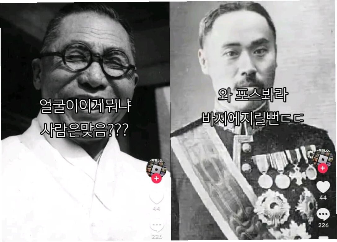 AI가 만든 독립운동가 희화화 콘텐츠 확산 유관순·안중근 조롱 영상 논란과 법적 한계까지