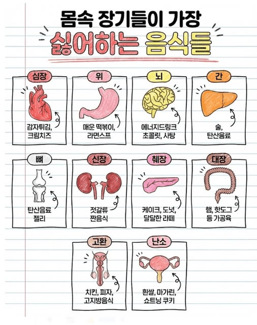 침묵의 장기 신장, 기능을 지키는 음식 BEST 5와 식단 관리법 총정리