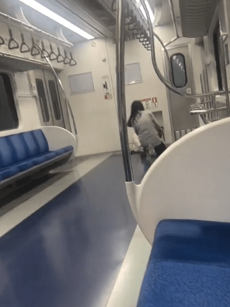 경의중앙선 소화기 난사 사건 정리 열차 내 소화기 분사, 처벌 가능성과 쟁점