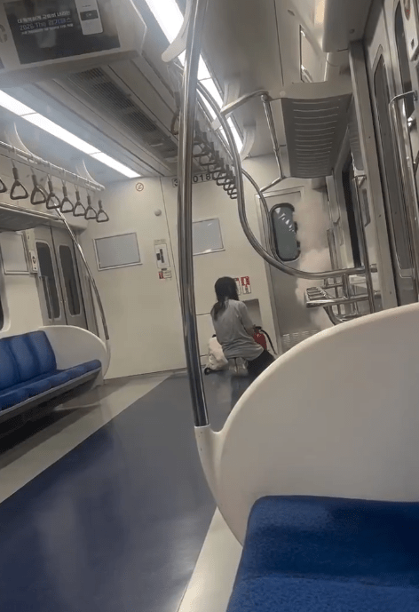 경의중앙선 소화기 난사 사건 정리 열차 내 소화기 분사, 처벌 가능성과 쟁점