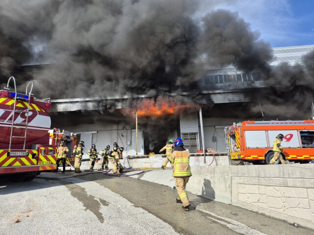 전남 완도 냉동창고 화재… 진압 중 소방관 2명 순직 사건 경위 총정리 2 전남 완도 냉동창고 화재… 진압 중 소방관 2명 순직 사건 경위 총정리