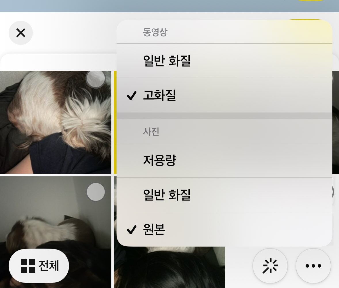 카톡 사진 원본 저장 방법 총정리 흐릿한 사진 해결부터 자동 원본 설정까지