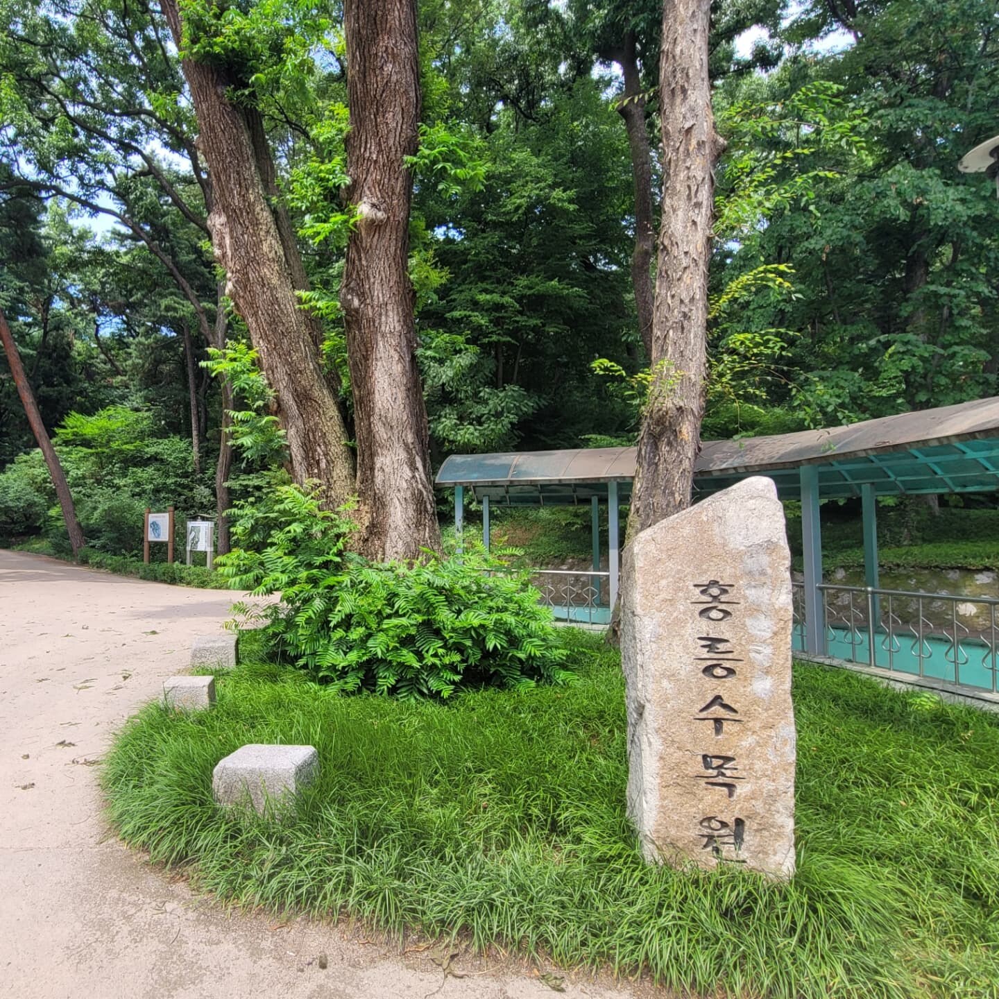 홍릉숲 33년 만 평일 개방부터 봄꽃축제·관람 팁까지 총정리