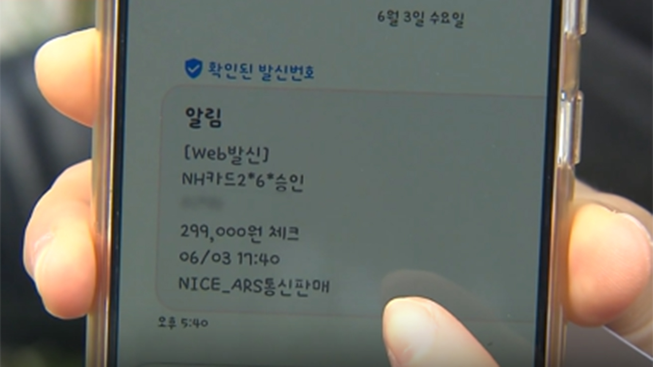 "쓴 적도 없는데" 피해 속출…'29만 9천 원' 공포의 문자