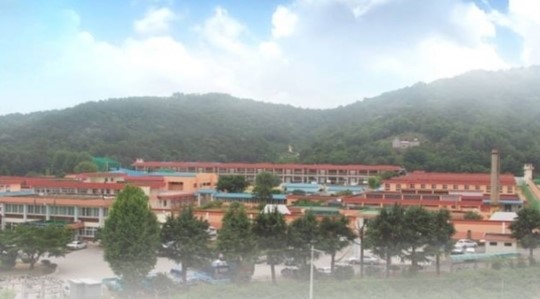 1. 사건 발단: 종합감사 과정에서 드러난 수량 불일치