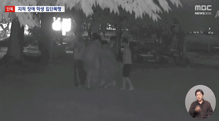 "산 달팽이 먹이고, 속옷 벗겨 촬영"…또래에 몹쓸 짓 한 남녀 중학생[영...