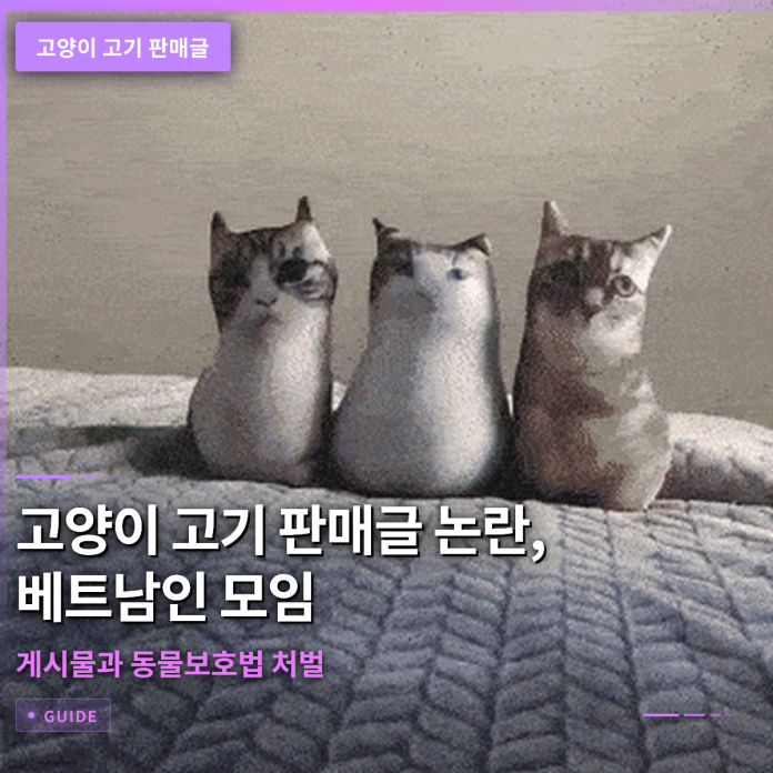 고양이 고기 판매글 논란, 베트남인 모임 게시물과 동물보호법 처벌