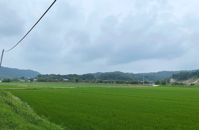 부동산매매업 개인사업자 '토지(농지)양도소득세' 알아보기.. 3 ywAAAAAAQABAAACAUwAOw==