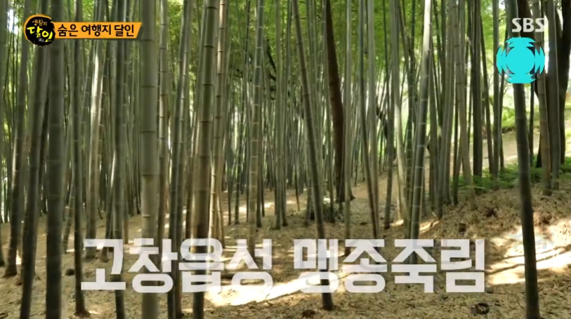 생활의달인 숨은 여행지 달인 - 황익수 계곡 여행 달인 추천 여행 장소 보기 4 ywAAAAAAQABAAACAUwAOw==