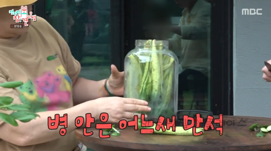 전지적참견시점 이영자 오이피클 오이지 만들기 레시피 - 마카롱 여사님 6 ywAAAAAAQABAAACAUwAOw==