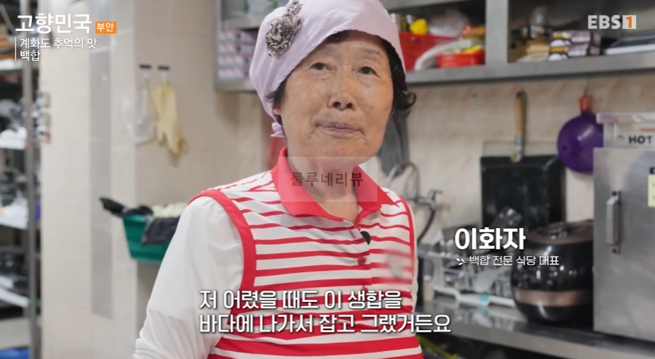 고향민국 백합 식당, 계화도 추억의 맛 백합죽 백합탕 백합찜 백합파전 파는 곳 어디? 이화자 대표 4 ywAAAAAAQABAAACAUwAOw==