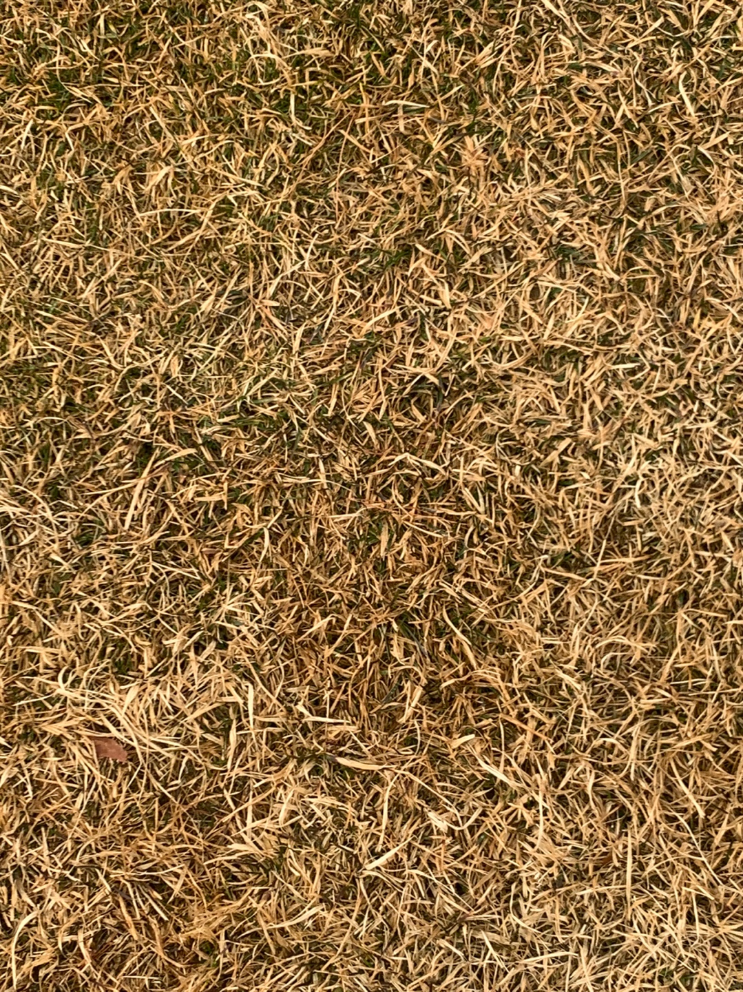 KPGA 2022시즌 개막전이 열리는 라비에벨CC 올드코스 라운드 후기 9 ywAAAAAAQABAAACAUwAOw==