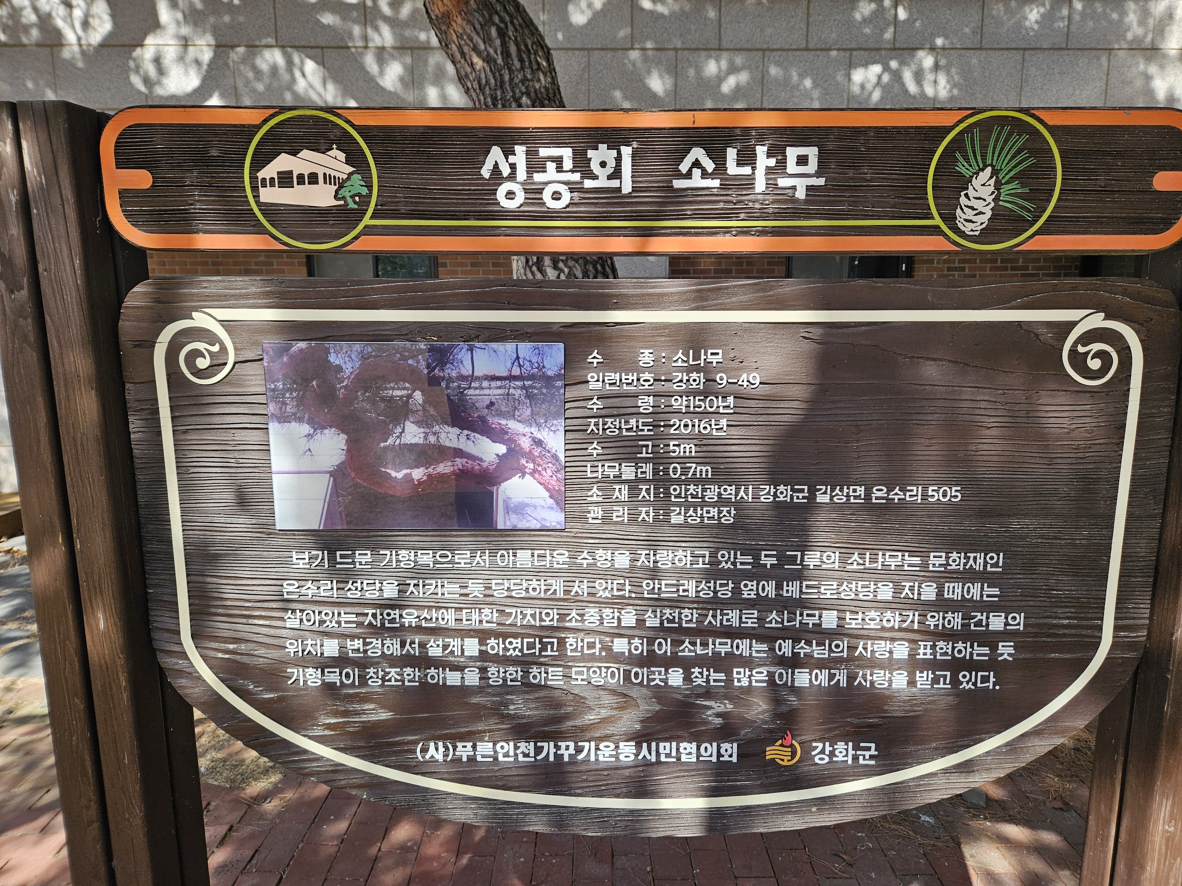 강화도 가볼만한곳 :: 온수리 성공회 성안드레 한옥성당 22 ywAAAAAAQABAAACAUwAOw==