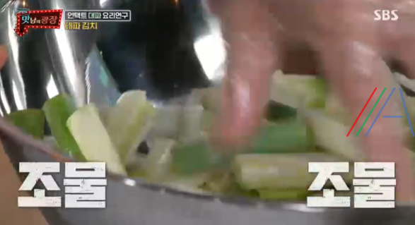 맛남의 광장 대파김치 레시피 만드는법 - 백종원 대파 김치 9 ywAAAAAAQABAAACAUwAOw==