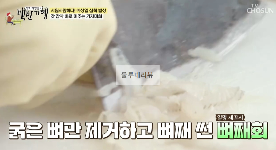 백반기행 가자미회 (가자미뼈째회), 곰치국 맛집 식당 촬영지 정보 - 시원시원하다 이상엽 삼척 밥상, 갓 잡아 떠주는, 시원 칼칼한 6 ywAAAAAAQABAAACAUwAOw==
