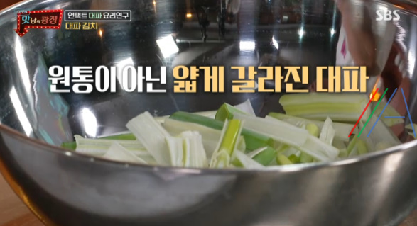 맛남의 광장 대파김치 레시피 만드는법 - 백종원 대파 김치 7 ywAAAAAAQABAAACAUwAOw==
