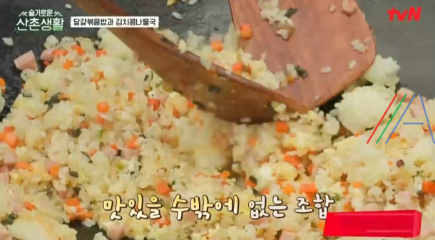 슬기로운 산촌생활 달걀볶음밥 만들기 레시피 22 ywAAAAAAQABAAACAUwAOw==