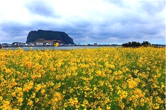 소상공인에 최대2000만원(희망회복자금)..소상공인 손실보상법은 10월8일부터 개시 3 ywAAAAAAQABAAACAUwAOw==