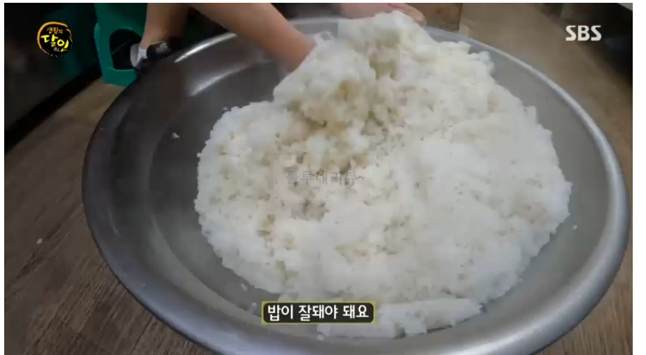 완벽한 김밥 달인 김밥집 어디? 생활의달인 은둔식달 서계순 동대문구 장안동 3 ywAAAAAAQABAAACAUwAOw==