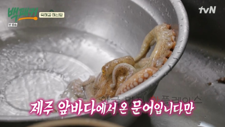 백패커 백종원 육해공 해신탕 뚝배기 레시피 20 ywAAAAAAQABAAACAUwAOw==