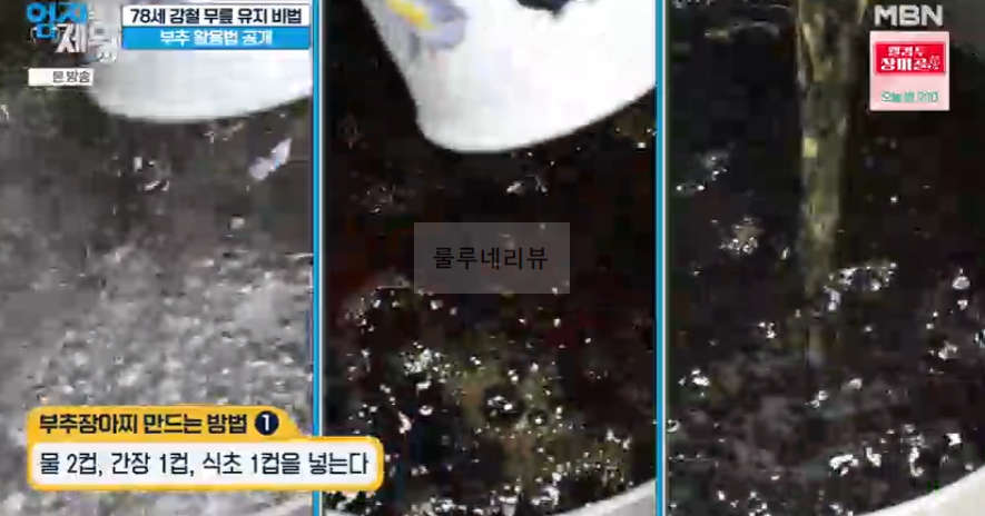 엄지의제왕 부추장아찌 만들기 레시피 - 무릎 튼튼 부추 활용법 2 ywAAAAAAQABAAACAUwAOw==