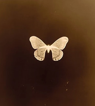 심심할때 보는 띠별 (행운의 숫자), (행운의 색), 궁합맞는 띠는... 2 ywAAAAAAQABAAACAUwAOw==