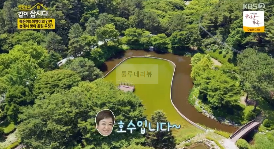 같이삽시다 여주 체험형 수목원, 낙우송, 피크닉 장소 위치 어디? 6 ywAAAAAAQABAAACAUwAOw==