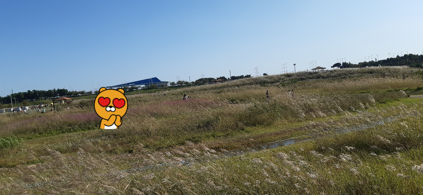 서울 근교 드라이브코스로 딱인 영종도 하늘정원 3 ywAAAAAAQABAAACAUwAOw==