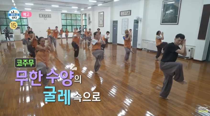 나혼산 템플스테이 가격 예약 방법 - 전현무 코쿤 주승 경주 사찰 골굴사 선무도 외국인 7 ywAAAAAAQABAAACAUwAOw==