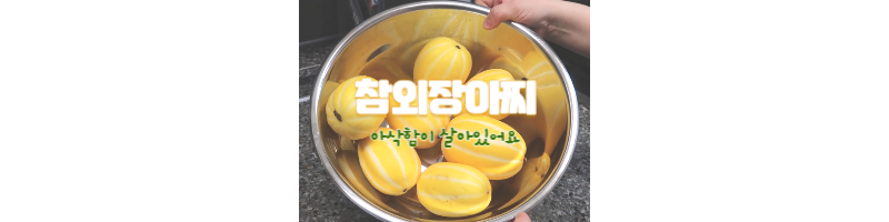 참외장아찌 만드는 방법 아삭아삭 식감이 좋은 여름 장아찌 황금레시피 1 참외장아찌-황금레시피-참외-여름