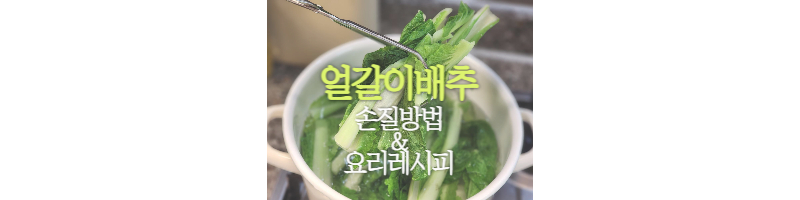얼갈이배추 손질 방법과 배추된장국, 얼갈이배추무침 레시피 1 얼갈이배추